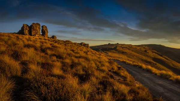 Full Day Private Queenstown and Lakes Photography Tour
