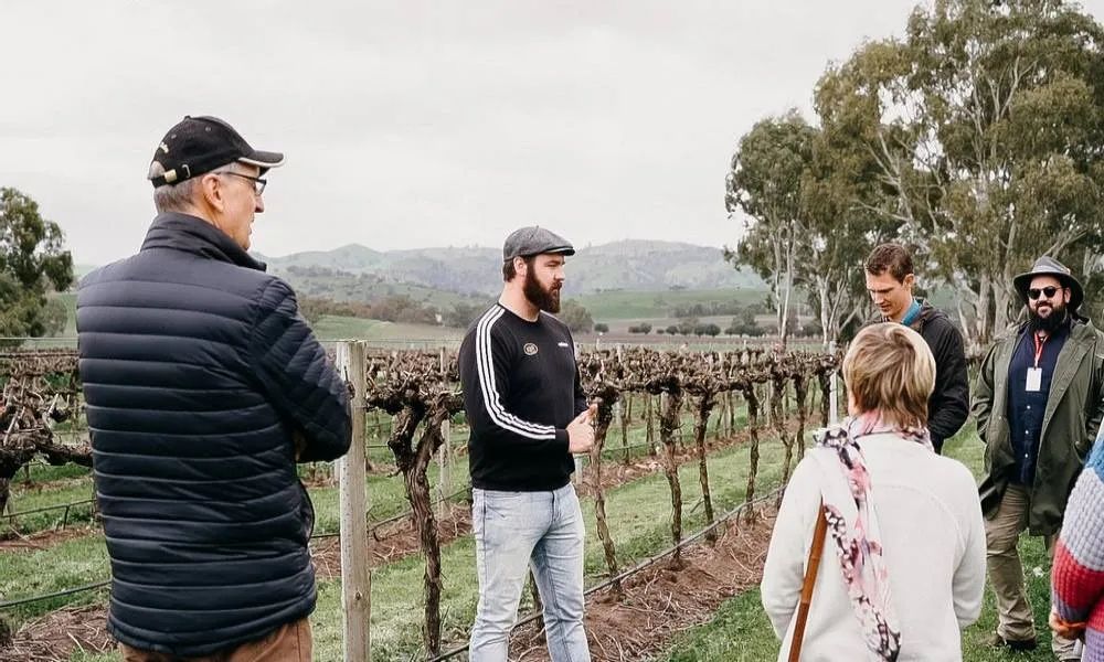 Barossa Valley Helicopter Flight with 2 Course Lunch and Wine | Experience Oz-1