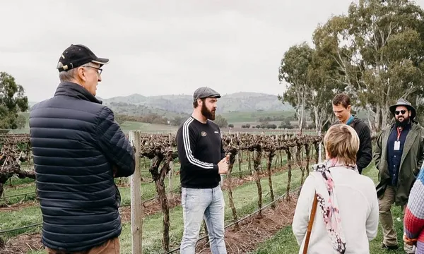 Barossa Valley Helicopter Flight with 2 Course Lunch and Wine