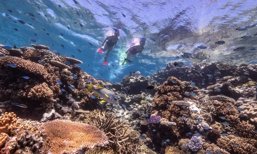Great Barrier Reef Dreamtime Cruise with Indigenous Sea Rangers