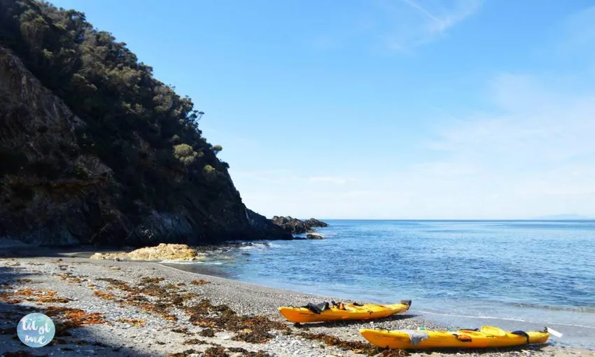 Batemans Bay Half Day Sea Kayak Tour - Book Now | Experience Oz