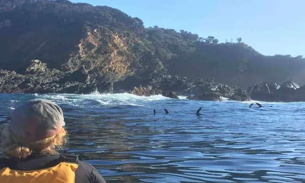 Batemans Bay Half Day Sea Kayak Tour