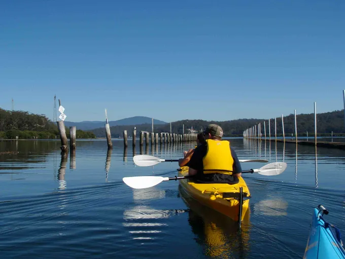 Batemans Bay Oyster Tasting Kayak Tour - Book Now | Experience Oz
