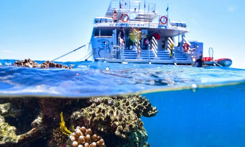 Great Barrier Reef and Fitzroy Island - 2 Day Combo | Experience Oz-2