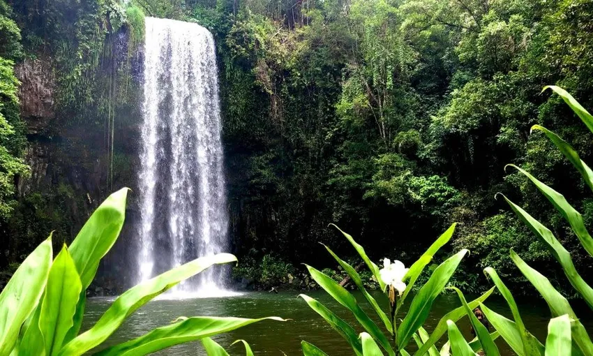 Cairns Waterfalls & Rafting 2 Day Package