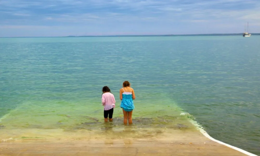 Wild Fish Feeding Sanctuary and Experience | Experience Oz-2