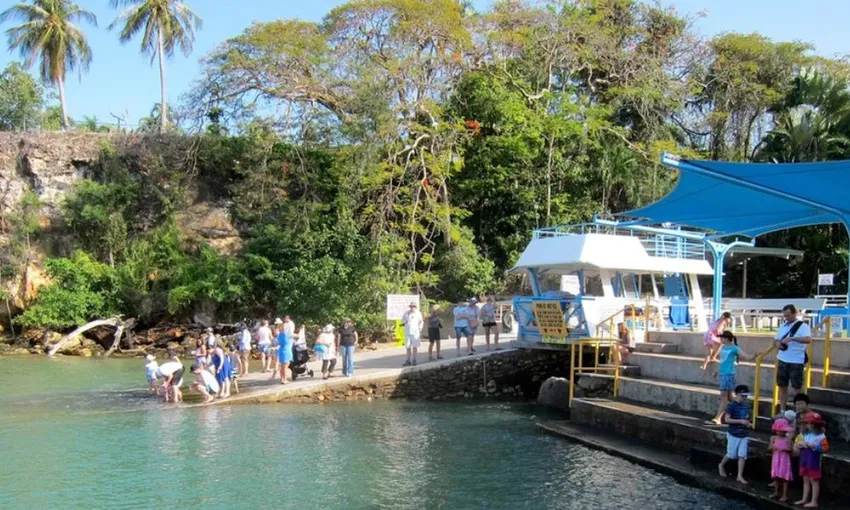 Wild Fish Feeding Sanctuary and Experience | Experience Oz