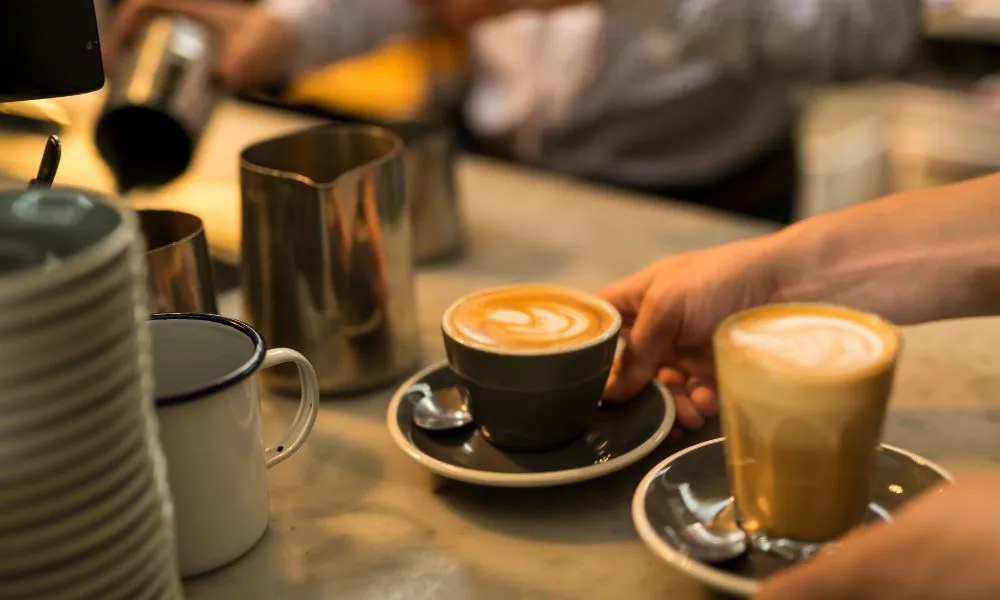 Yarra Valley Vintages and Villages Day Tour | Experience Oz-5