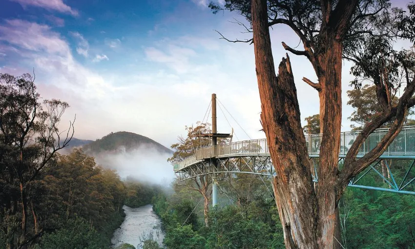 Hastings Cave, Tahune Airwalk and The Huon Tasting Trail from Hobart - Full Day | ExperienceOz