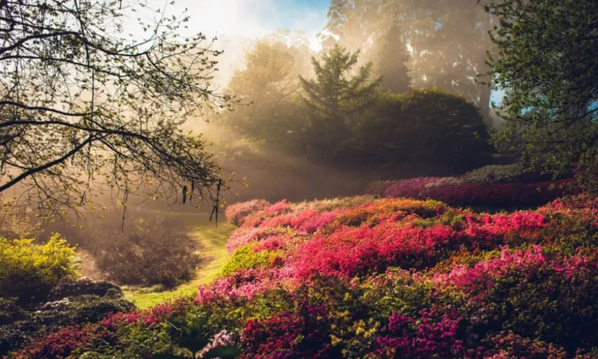Healesville Sanctuary and Puffing Billy Scenic Bus Tour | Experience Oz