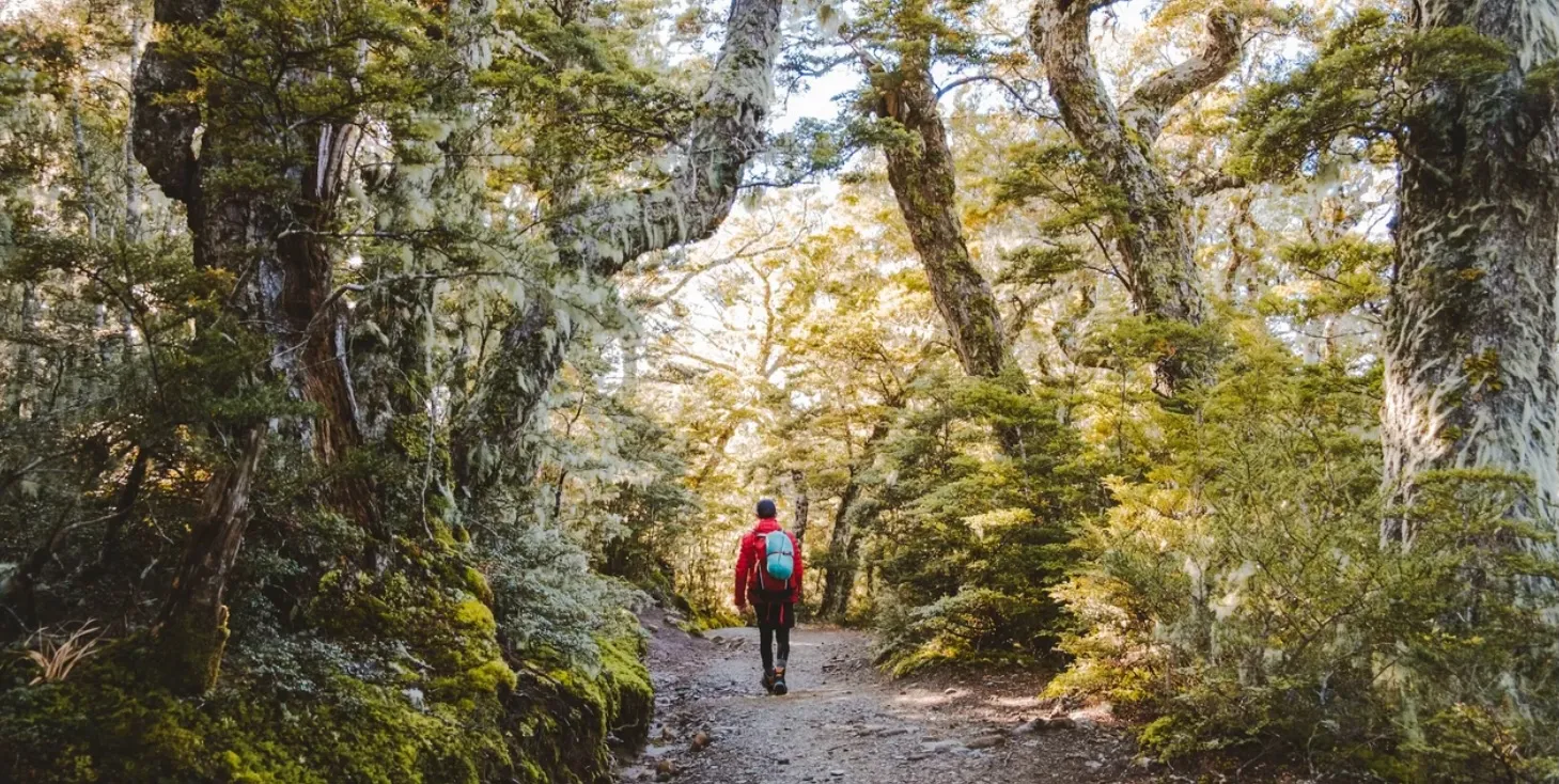 Kepler Track Self-Guided Day Walk with Transfers | Experience Oz-4