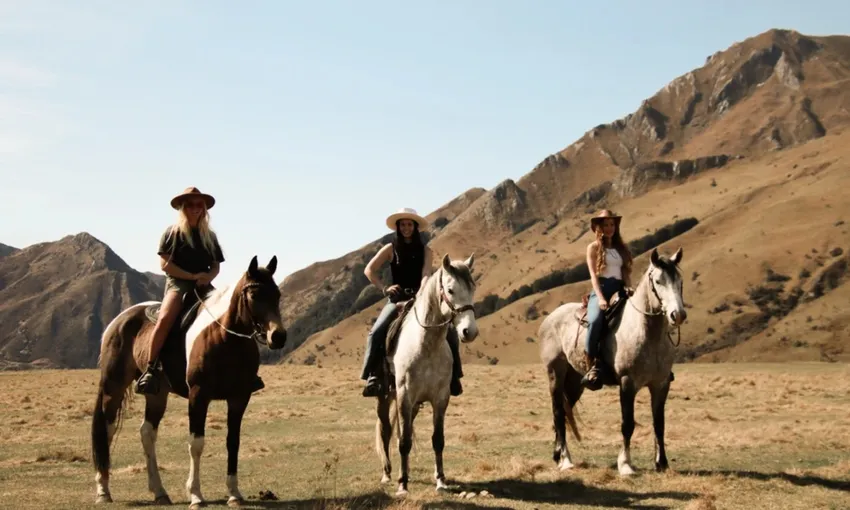 Beginners Horse Riding, 1 Hour - Moke Lake