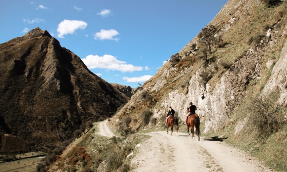 2 Hour Moke Lake Horse Riding Experience - Experienced Riders