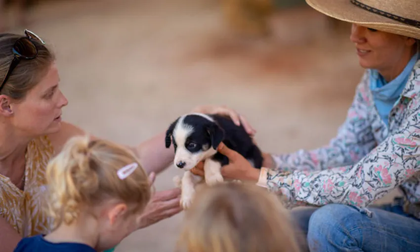 2.5 Hour Katherine Outback Show - Book Now | Experience Oz