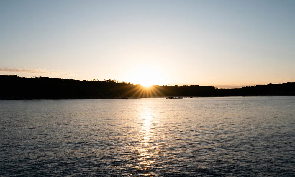 Phillip Island Sunset Cruise - Book Now | Experience Oz-6