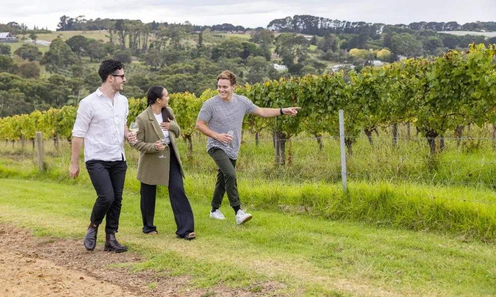 Peninsula Paddle Pools and Pinot Adventure | Experience Oz-2