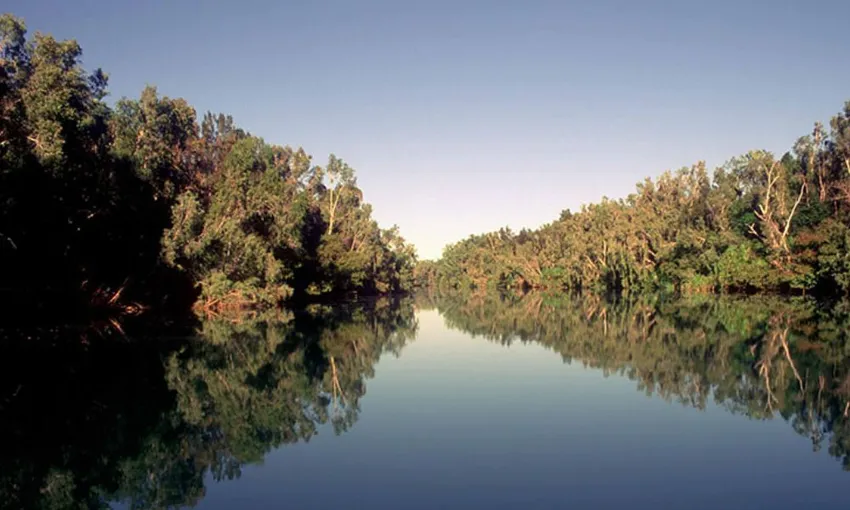 Darwin to Litchfield Scenic Flight, 80 Minutes