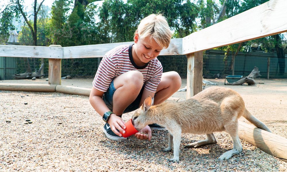 Sydney 3, 5, and 7 Ticket Flexi Pass