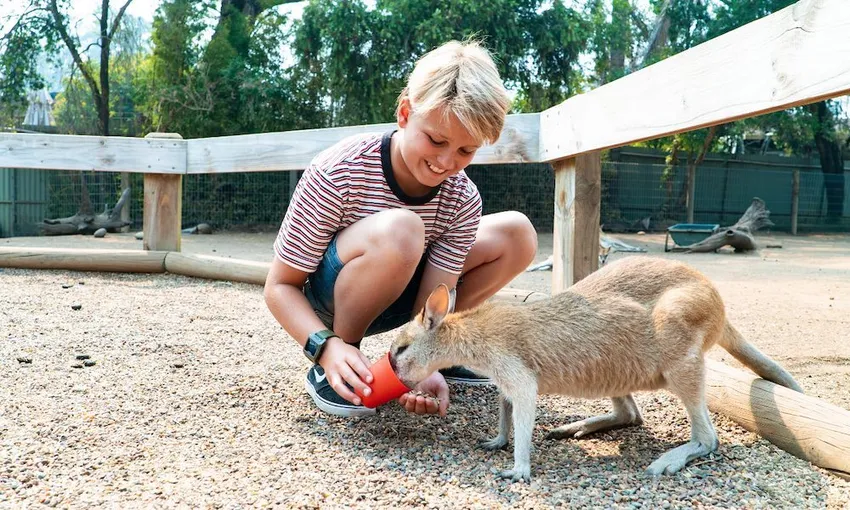 Sydney Flexi Attraction Pass - iVenture Card