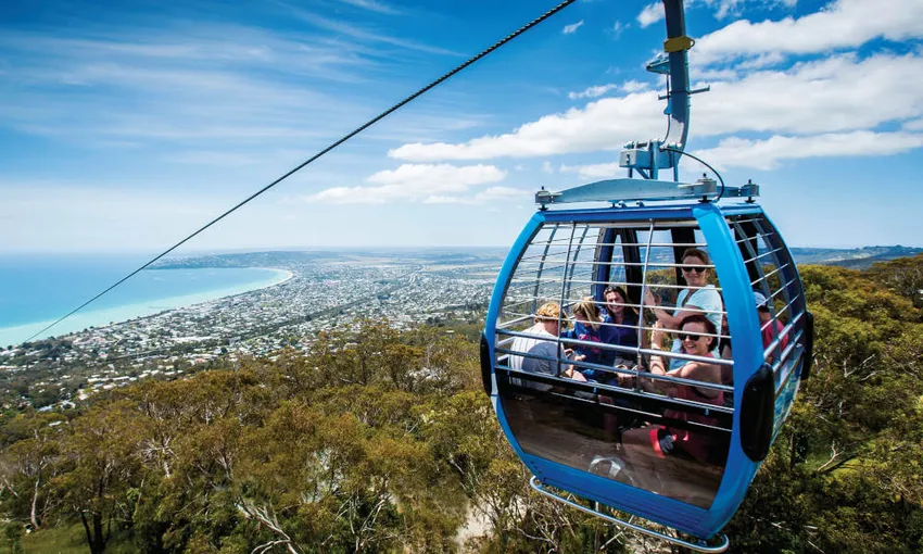 Arthurs Seat Eagle & Winery Lunch For 4 - Book Now | Experience Oz