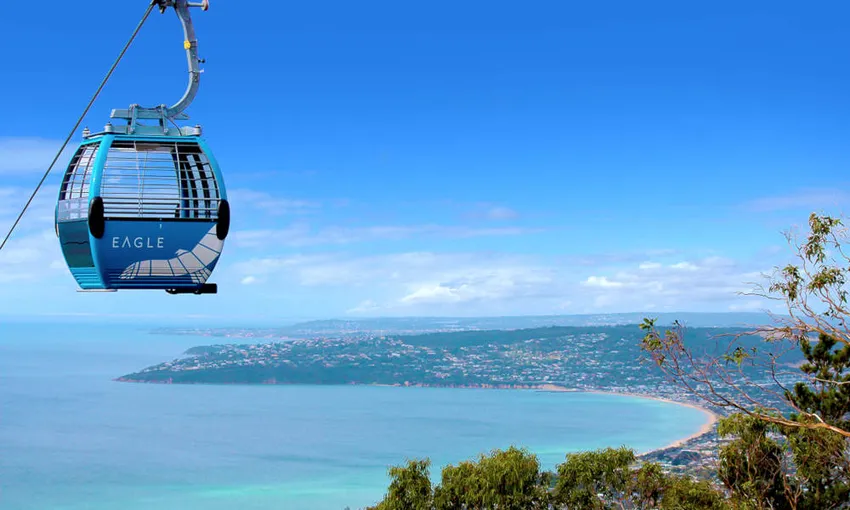 Arthurs Seat Eagle & Winery Lunch For 4 - Book Now | Experience Oz