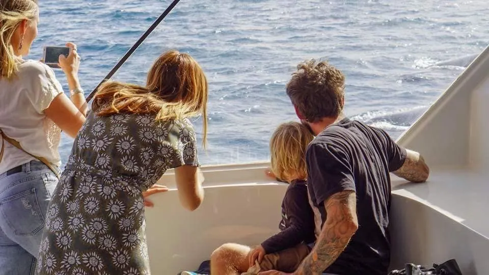 Gold Coast Luxury Sunset Cruise - 2 Hours | ExperienceOz-5