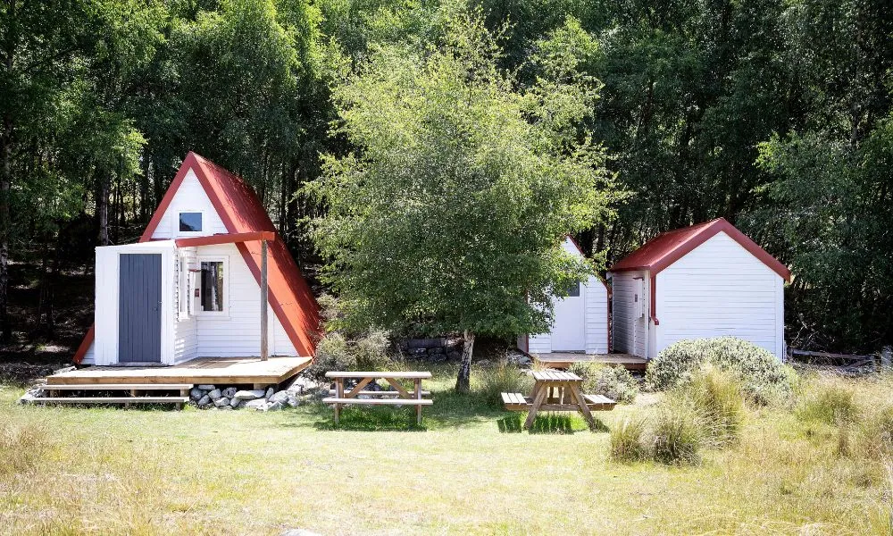 Glentanner High Country Heli Hike - 3.5 Hours | Experience Oz-6