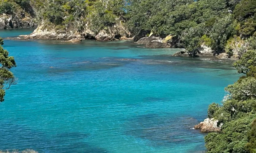 Island Discovery Tour | Experience OZ