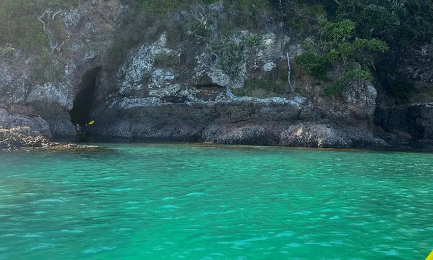 Island Discovery Tour | Experience OZ