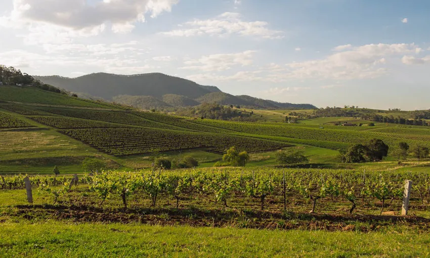 Hunter Valley Tyrell's Wines Sacred Sites Tour - Book Now | Experience Oz