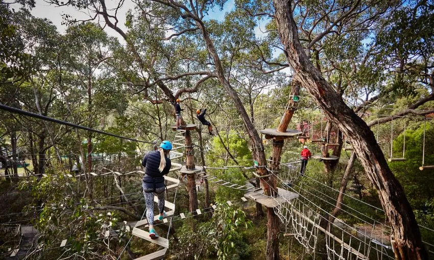 Enchanted Adventure Tree Surfing & General Admission