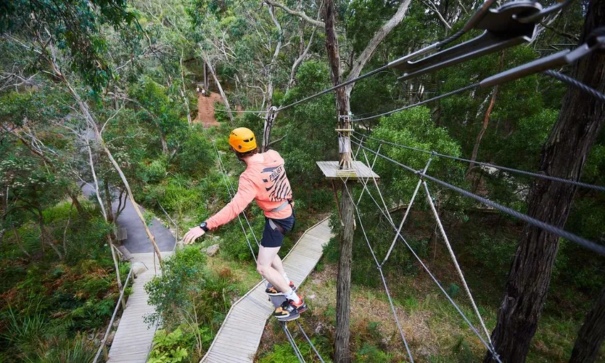 Enchanted Adventure Tree Surfing & General Admission