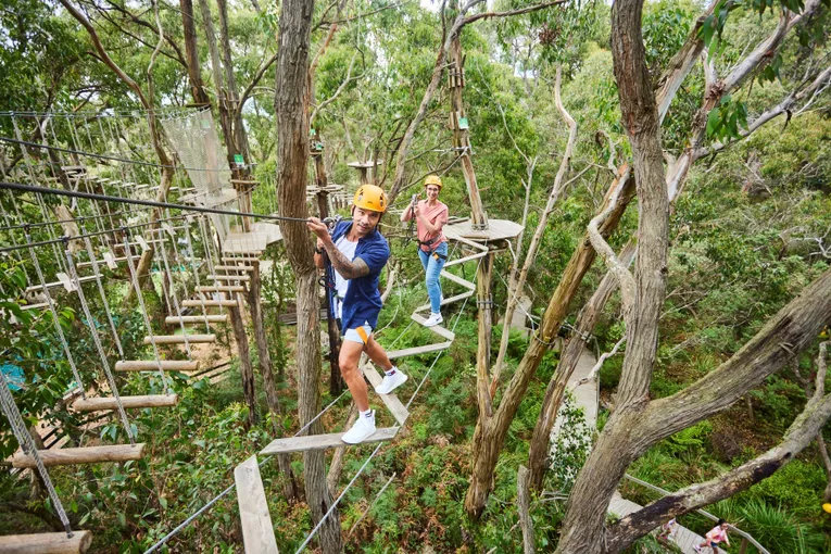 Enchanted Adventure Tree Surfing & General Admission