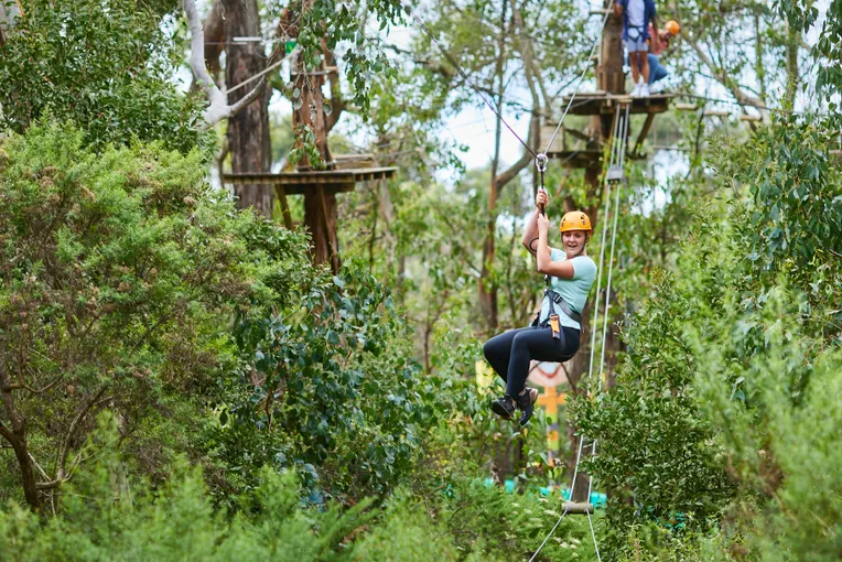 Enchanted Adventure Tree Surfing & General Admission