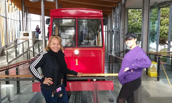 Wellington City Sightseeing Group Tour - Full Day