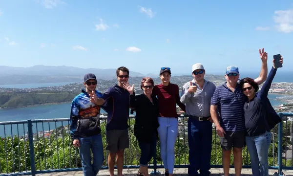 Wellington City Sightseeing Group Tour - Full Day