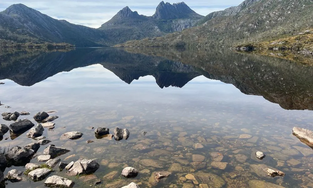 2 Day Cradle Mountain Nature Tour-3