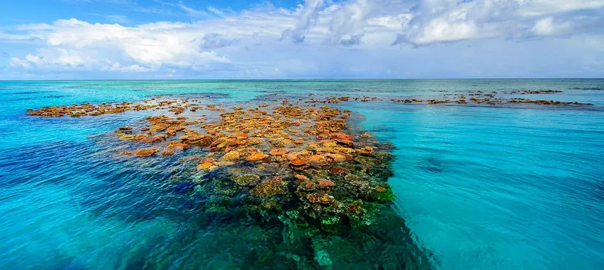 Townsville Great Barrier Reef Snorkel Tour | Experience Oz
