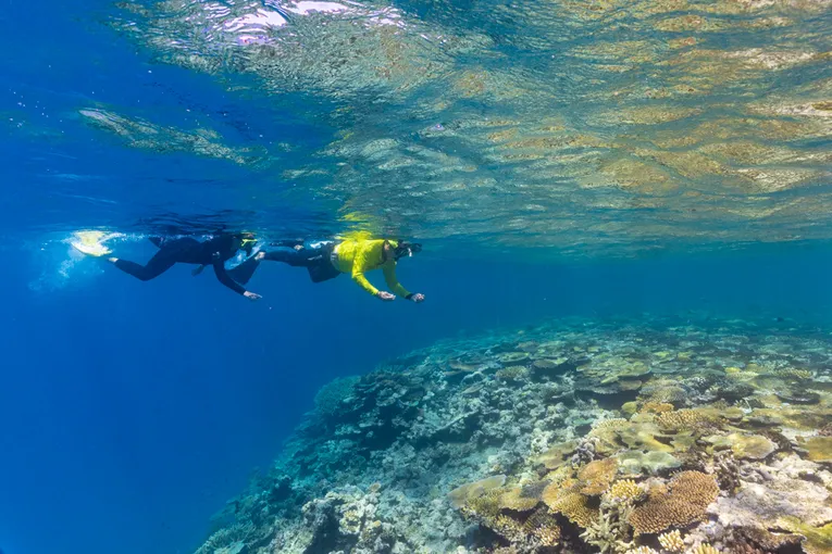 Townsville Great Barrier Reef Snorkel Tour | Experience Oz