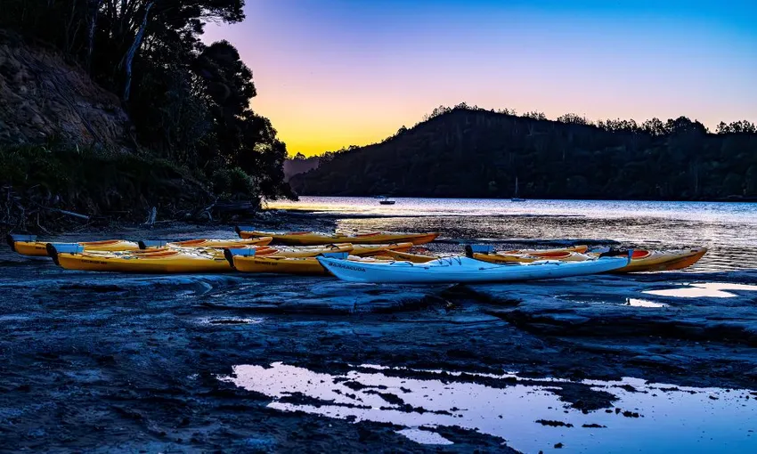 Auckland Bioluminescence 2 Hour Kayak Tour | Experience Oz + NZ