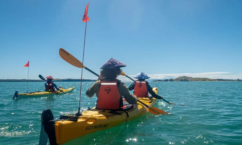 Browns Island Sea Kayak Tour from Auckland | Experience Oz + NZ