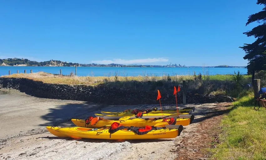 Browns Island Sea Kayak Tour from Auckland | Experience Oz + NZ