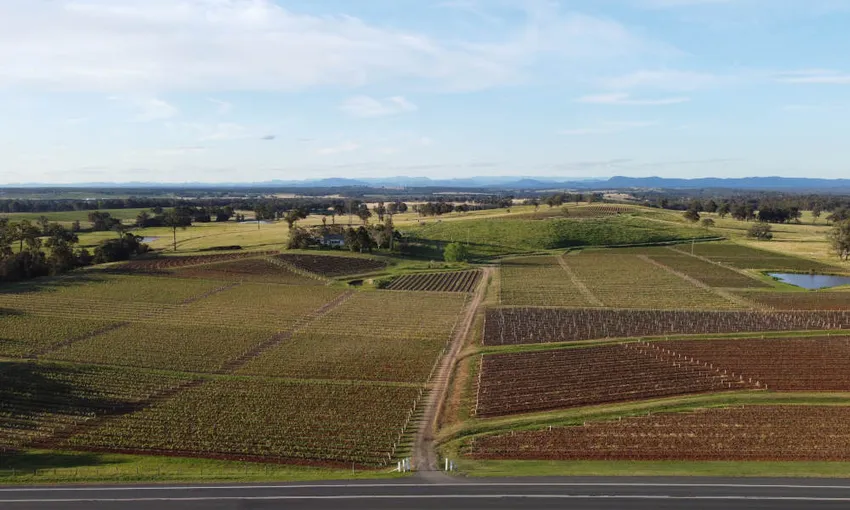 Tyrell Wines Semillon Vertical Experience - Book Now | Experience Oz