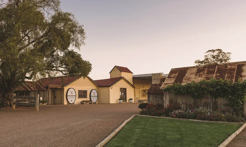 Tyrrell's Winery VIP Premium Tasting Experience - Book Now | Experience Oz