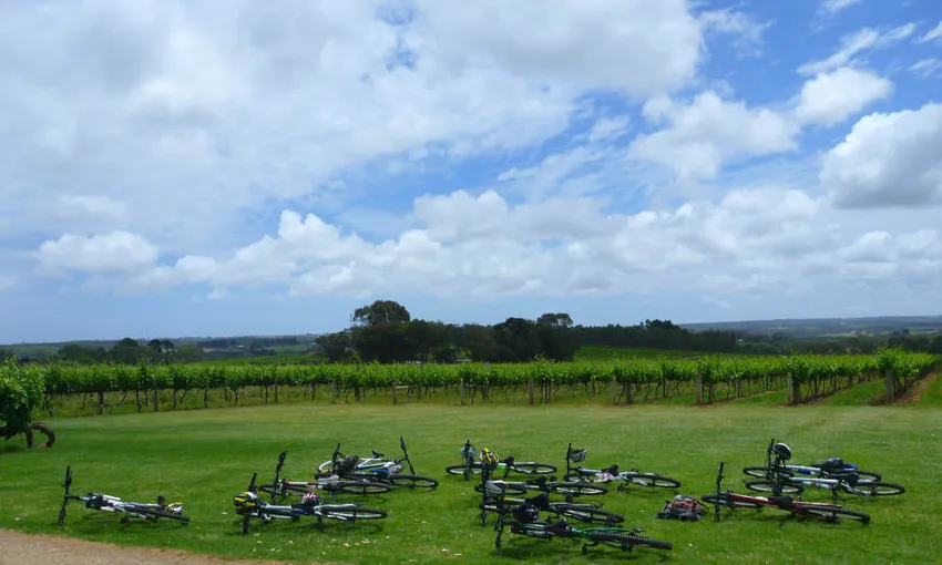 McLaren Vale E-Bike & Wine Adventure | Experience Oz