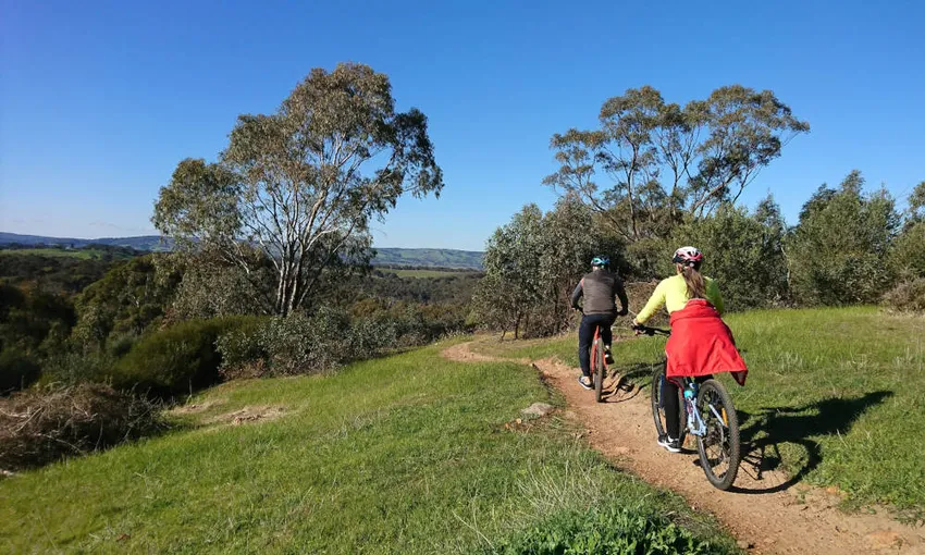 McLaren Vale E-Bike & Wine Adventure | Experience Oz