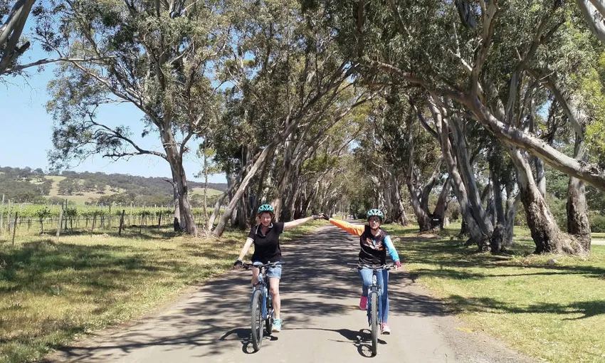 McLaren Vale E-Bike & Wine Adventure | Experience Oz