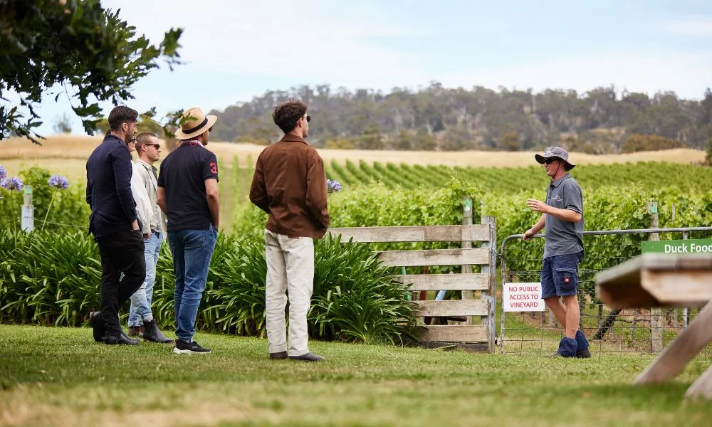 Coal River Wine Hopper Tour from Hobart - Full Day | ExperienceOz-2