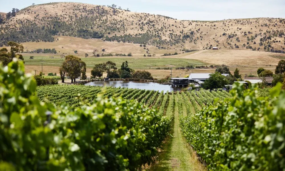 Coal River Wine Hopper Tour from Hobart - Full Day | ExperienceOz-5