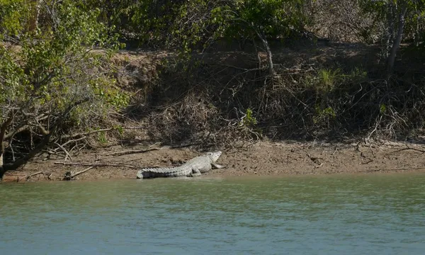 Burketown Gambumanda Sunset Cruise - 2.5 Hours